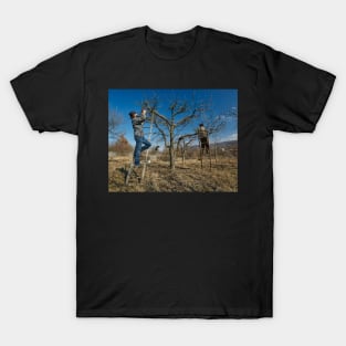 Pruning apple trees T-Shirt